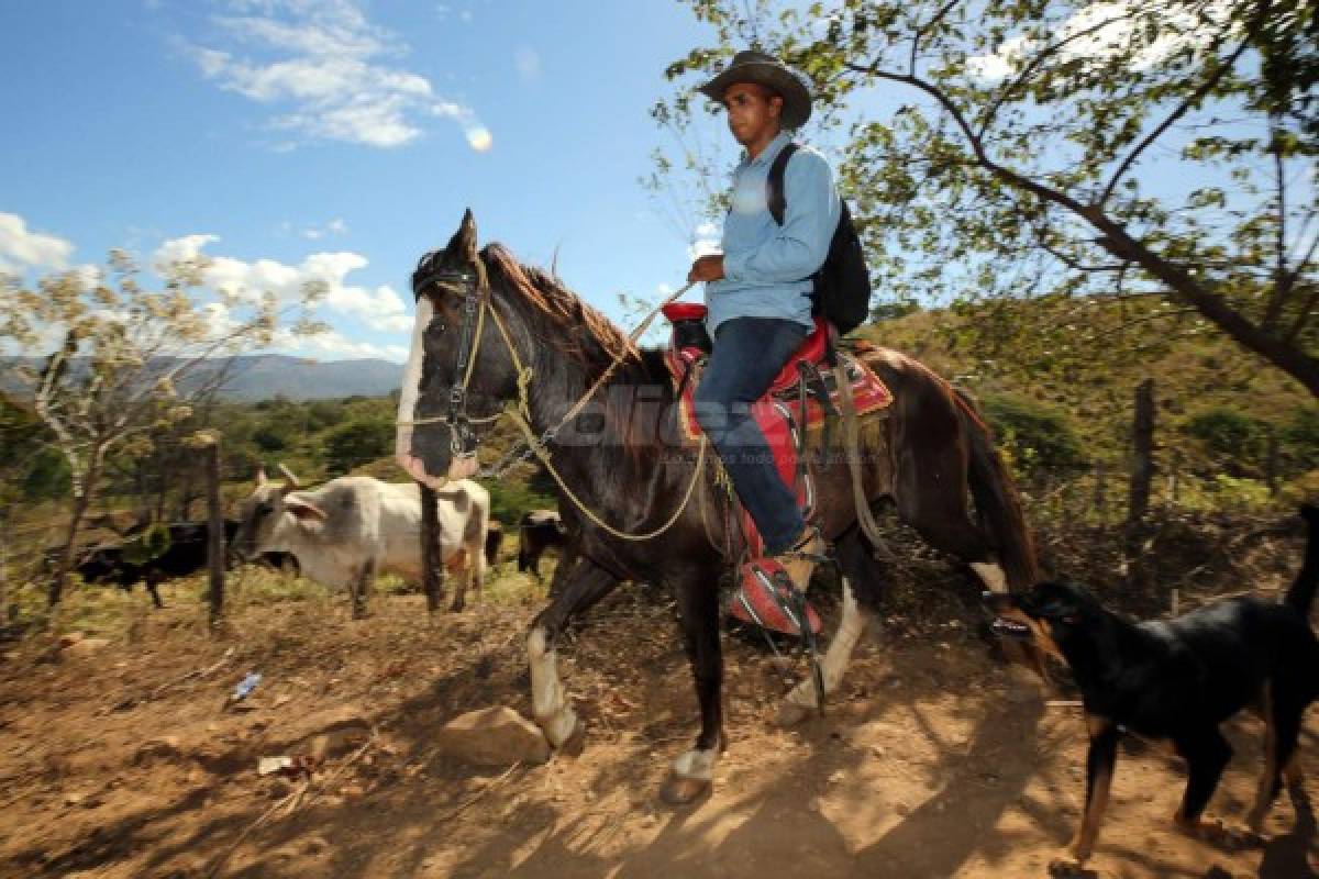 Donis Escober, ganadero: de sombrero y buen jinete; cambió la pelota por el ordeño de vacas