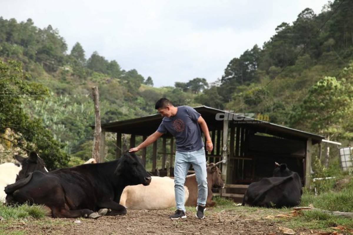 Entre repuestos, café y vacas, Irvin Reyna se olvida del fútbol en Siguatepeque