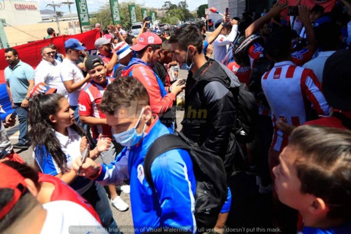 ¡Hasta con pasamontañas, guantes y tapabocas, regresó Olimpia de Canadá!