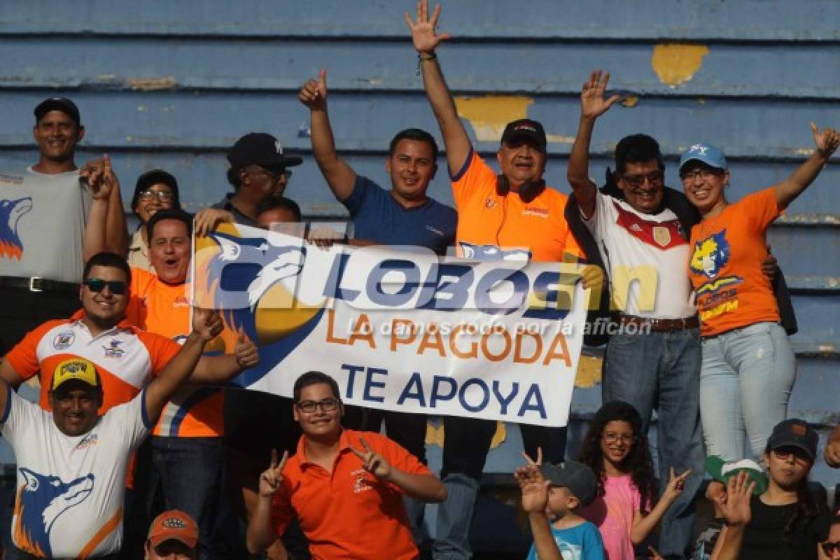 ¡NO VISTE EN TV! La obscena celebración y la belleza femenina en el estadio