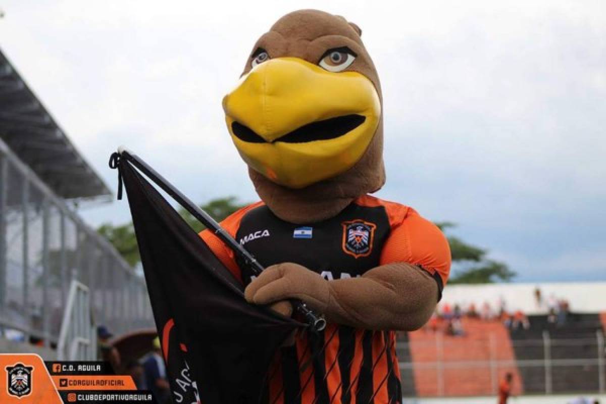 ¿Cuál te gusta más? Estas son las mascotas de los clubes de Centroamérica