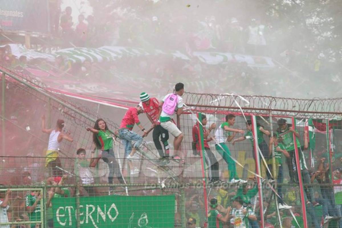 No se vio en TV: La furia de Figueroa, el sufrimiento de Diego Vázquez y la euforia verde