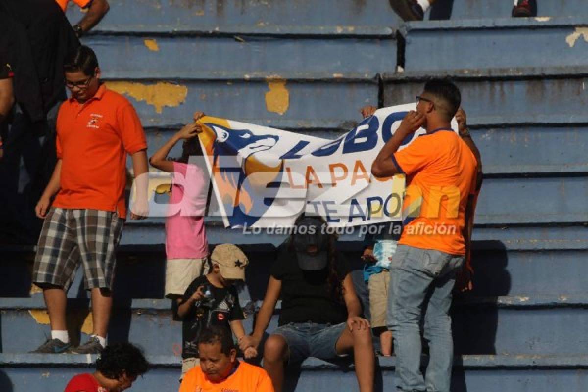 ¡NO VISTE EN TV! La obscena celebración y la belleza femenina en el estadio