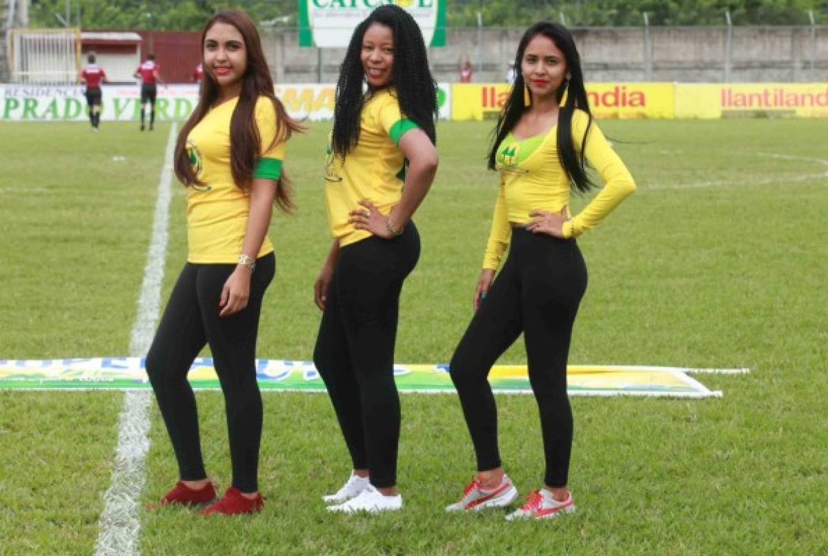 ¡PRECIOSAS! Las bellas chicas que adornaron la jornada seis de la Liga Nacional