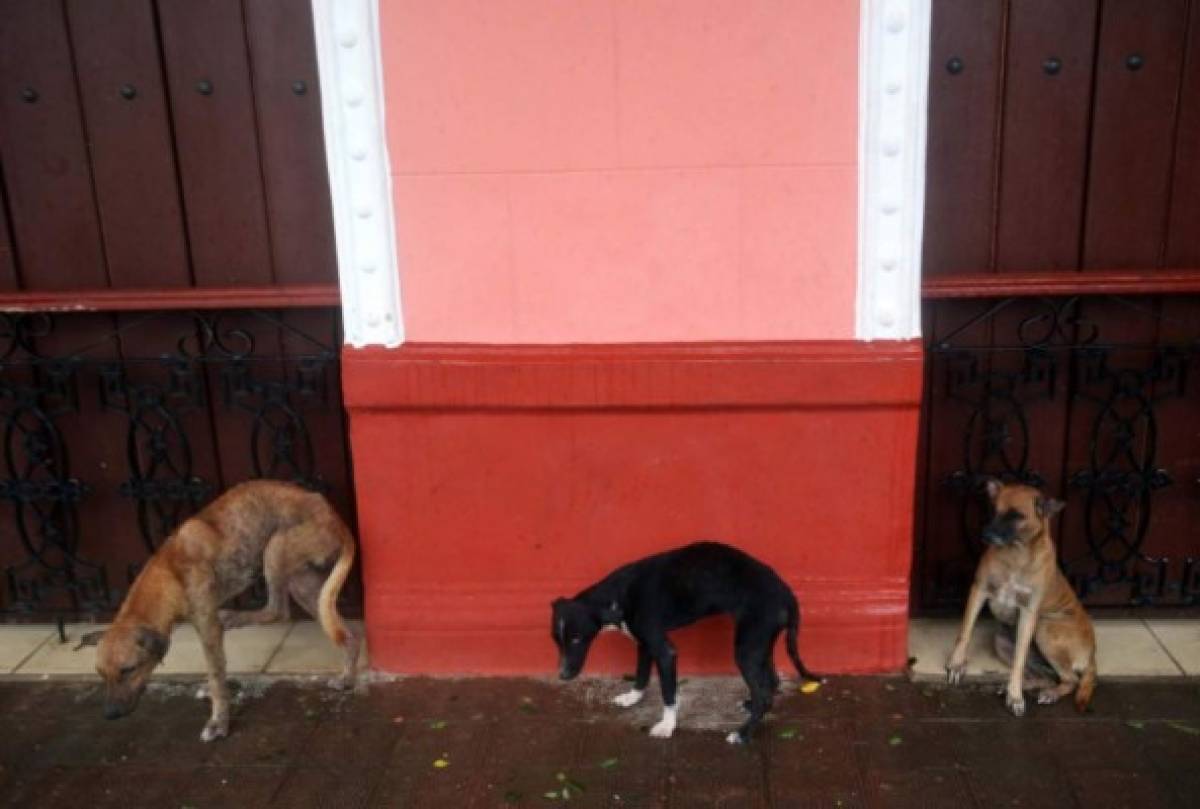 LAMENTABLE: Así quedó Cuba luego del imponente paso del huracán Irma