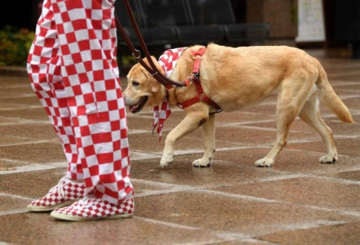 Desmadre y belleza: Así celebran en Croacia el pase a la final de Rusia 2018