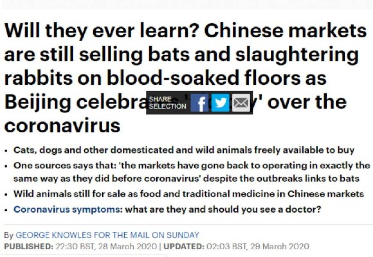 China vuelve a la venta de animales domésticos y murciélagos tras superar el coronavirus