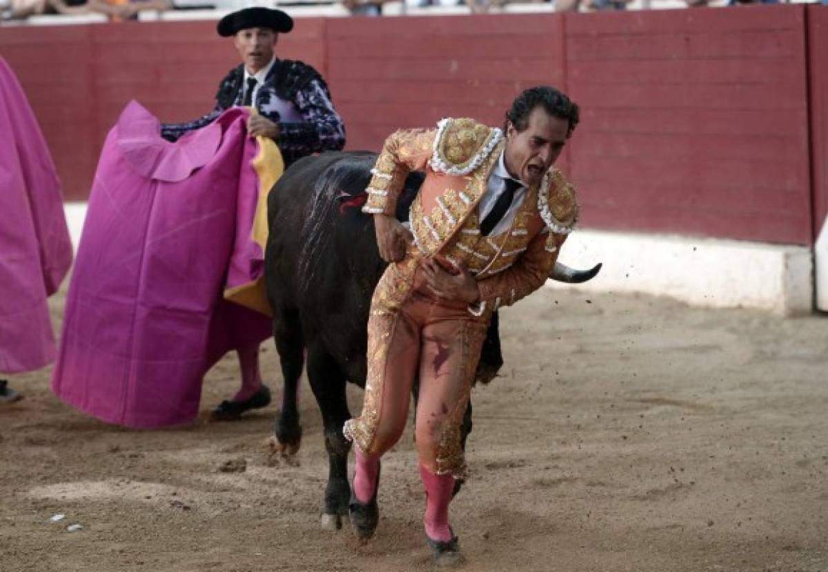 ¡Impactante! Las dolorosas imágenes de como un toro mató a Iván Fandiño