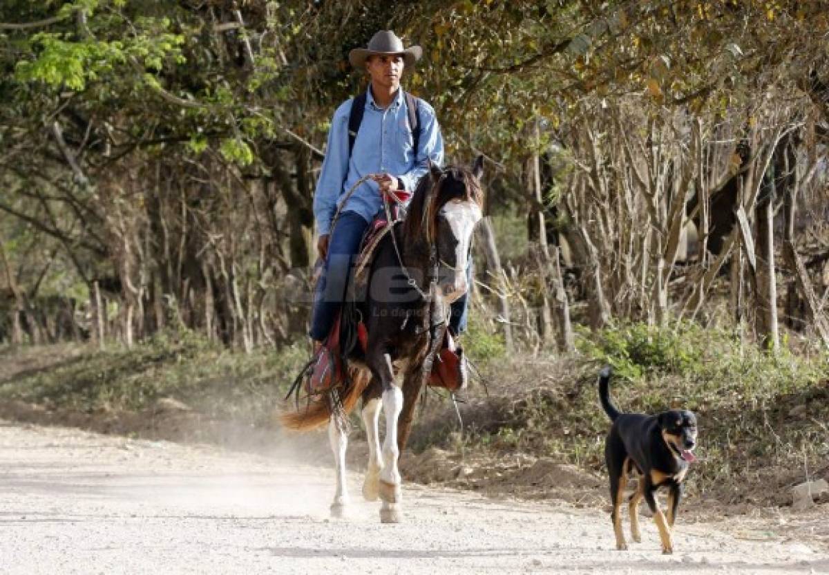 Donis Escober, ganadero: de sombrero y buen jinete; cambió la pelota por el ordeño de vacas