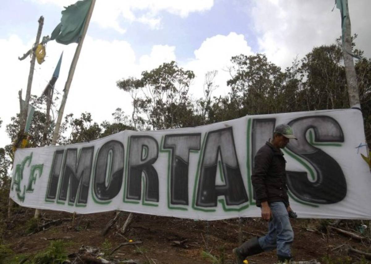 Así luce el cerro donde se estrelló el avión el Chapecoense hace un año