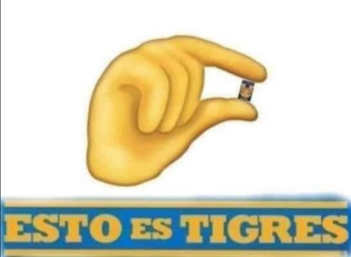 Memes: Hacen pedazos a Tigres y a Gignac por su falta de solidaridad con Veracruz