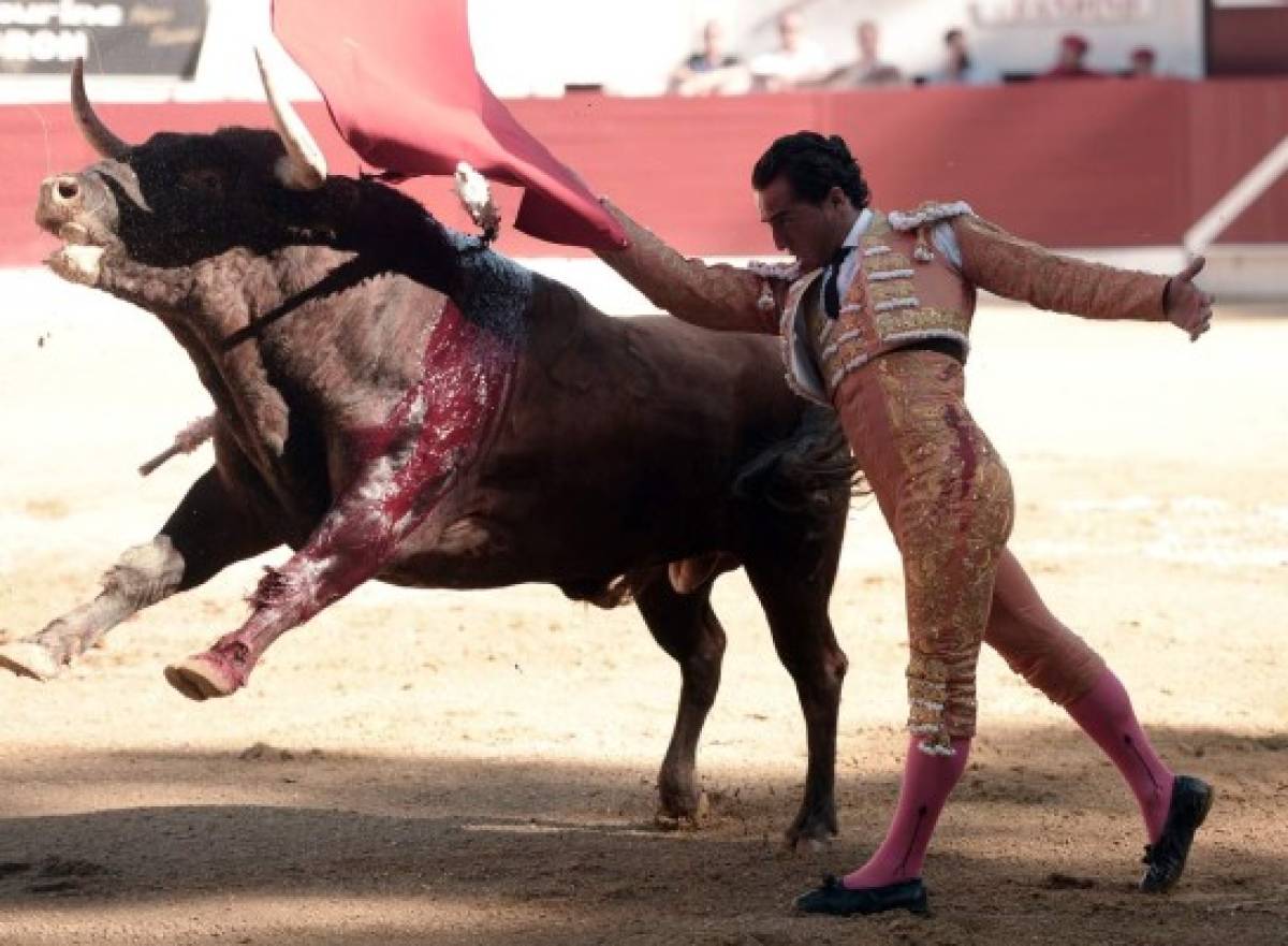 ¡Impactante! Las dolorosas imágenes de como un toro mató a Iván Fandiño