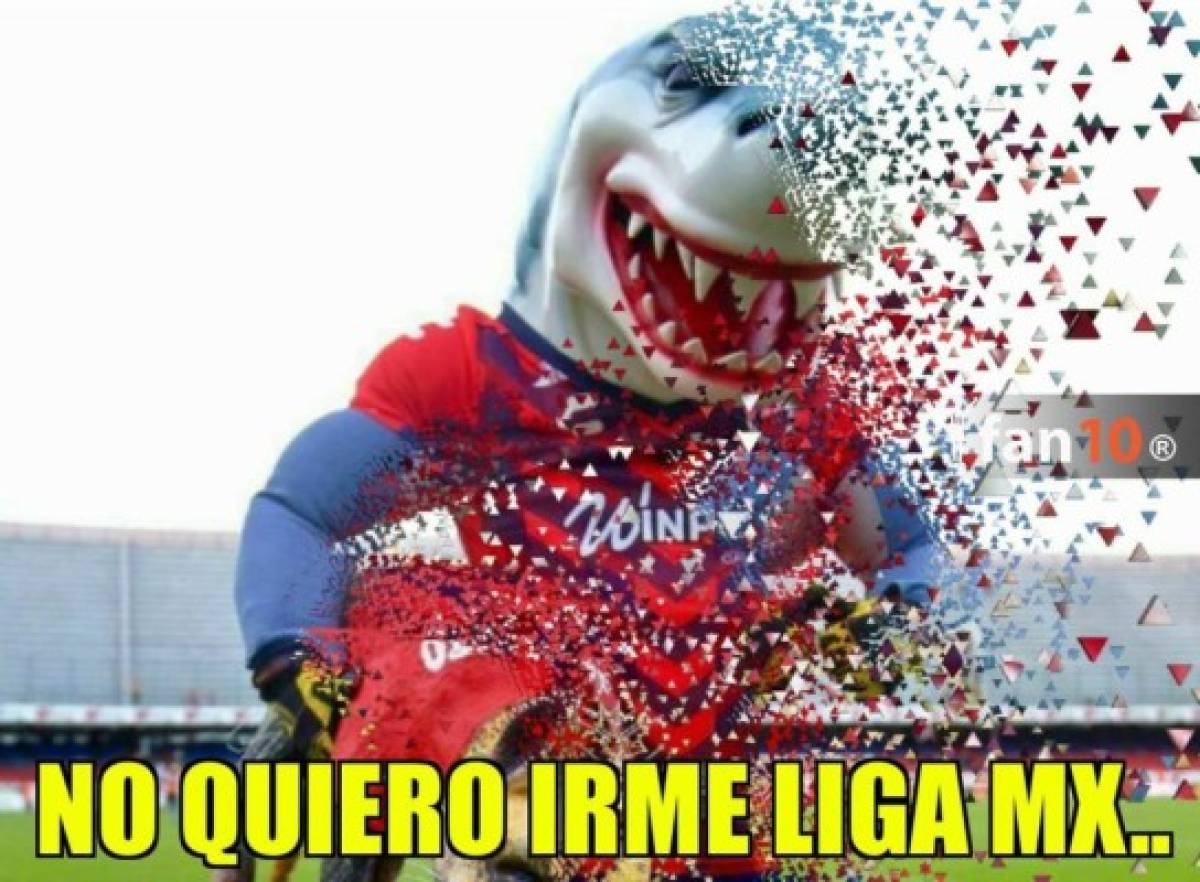 Liga MX: Veracruz es desafiliado y los divertidos memes no perdonan al Tiburón