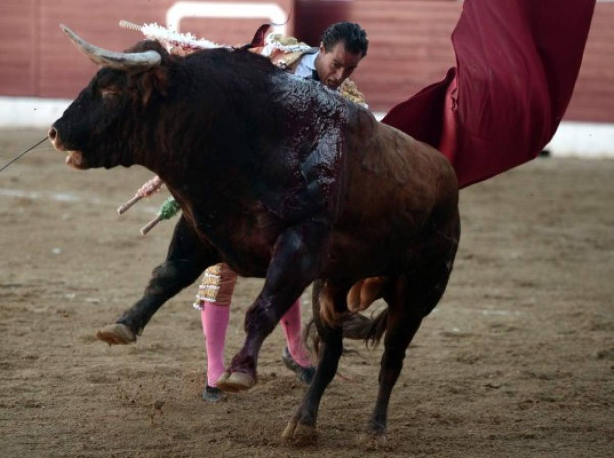 ¡Impactante! Las dolorosas imágenes de como un toro mató a Iván Fandiño