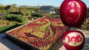 En China se celebró la Feria del Día Nacional de Shangai, en la cual se presentaron una serie de manzanas en cuya piel crece arte.