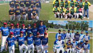 Los equipos ceibeños intentarán mantener la hegemonia en el béisbol nacional.