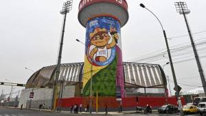 44 atletas hondureños estarán en los Juegos Panamericanos de Lima.