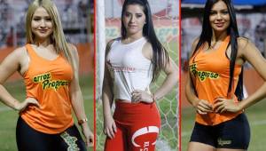 La belleza de las modelos y la árbitra Shirley Perelló fue parte de la belleza que adornó la jornada de sábado en la Liga Nacional.