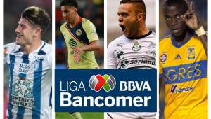 Un total de 19 futbolistas de la Liga MX fueron llamados a las distintas selecciones para las fechas FIFA de noviembre.