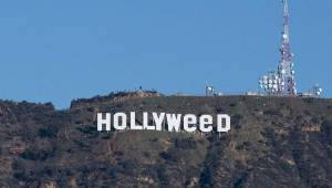 Así ha quedado el letrero de Los Ángeles en el que se lee 'Hollyweed' que significa Santa Marihuana. Foto cortesía
