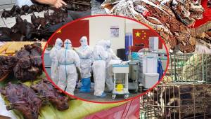 Después de muchos estudios y análisis, el gobierno de China ordenó cerrar los mercados de venta de animales silvestre. Prohibió su consumo durante los próximos cinco años; pues han descubierto que de allí salió el coronavirus.