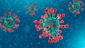 Nuevos estudios del coronavirus reflejan nuevos resultados.
