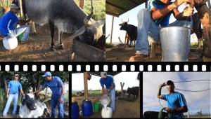 Así es la vida del portero del Olimpia y la Selección de Honduras, Donis Escober en su pueblo natal, San Ignacio, Francisco Morazán donde disfruta de las vacas y el campo donde creció.