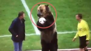 Un oso le entrega el baló al árbitro previo a un partido en Rusia.