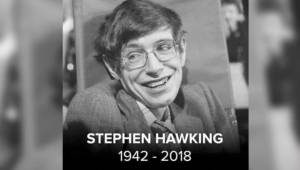 Stephen Hawking nació en 1942 y falleció es 13 de marzo de 2018.