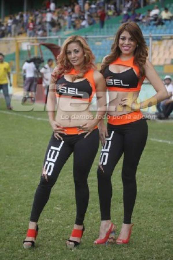 ¡MAMITAS! Las infartantes chicas que han adornado la Liga de Honduras  