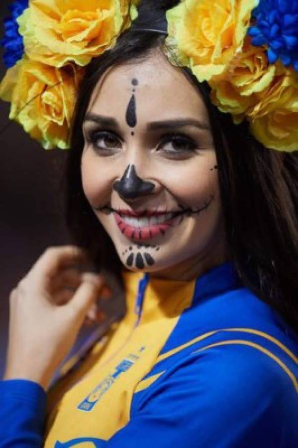 Liga MX: Las hermosas chicas que adornaron la jornada 16 del Apertura 2019