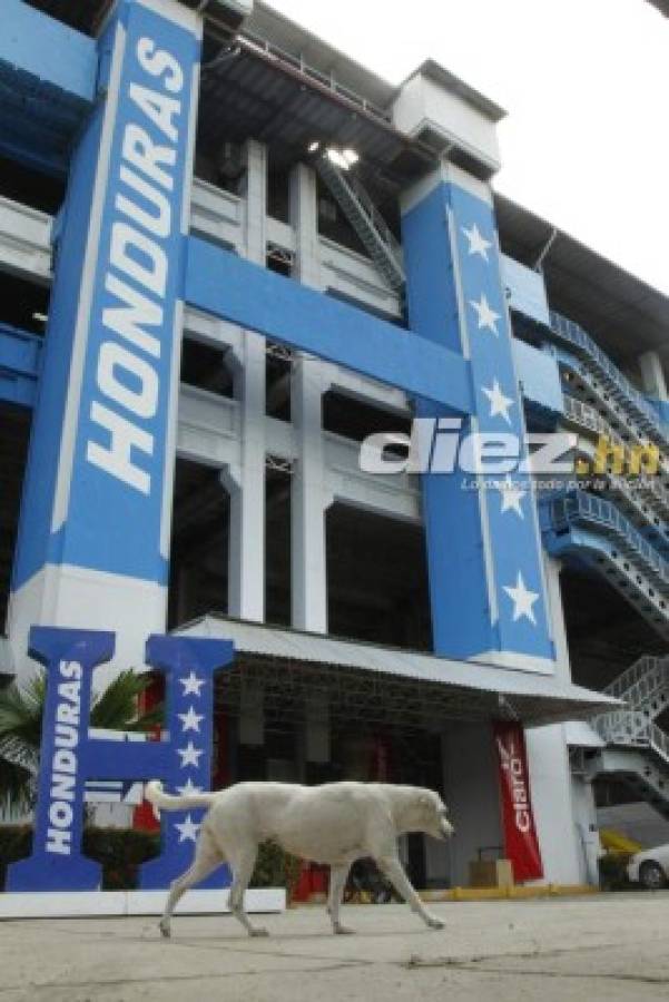 ¡QUÉ BELLEZA! Así pulen el estadio Olímpico para juego de Honduras ante Australia