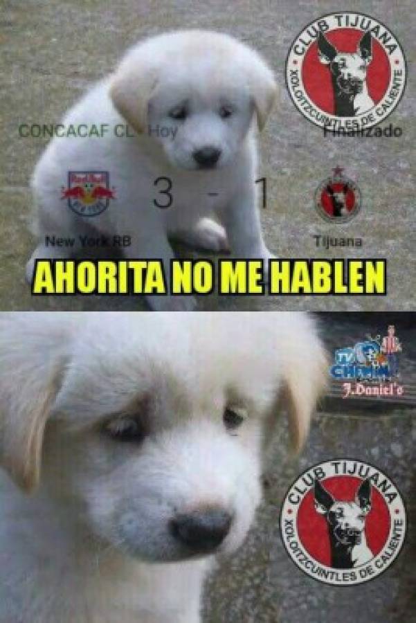 ¡Imperdibles! Tremendos memes contra Tigres y Xolos por su eliminación en Liga de Campeones