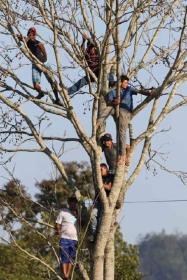 Subidos en los árboles, golpes a árbitros y la soledad del Yankel en la Copa Presidente