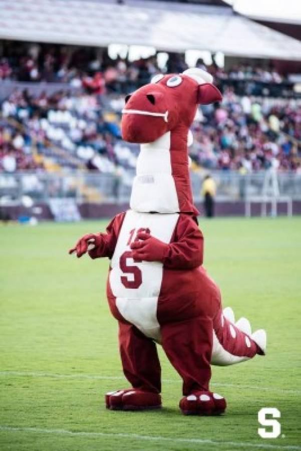 ¿Cuál te gusta más? Estas son las mascotas de los clubes de Centroamérica