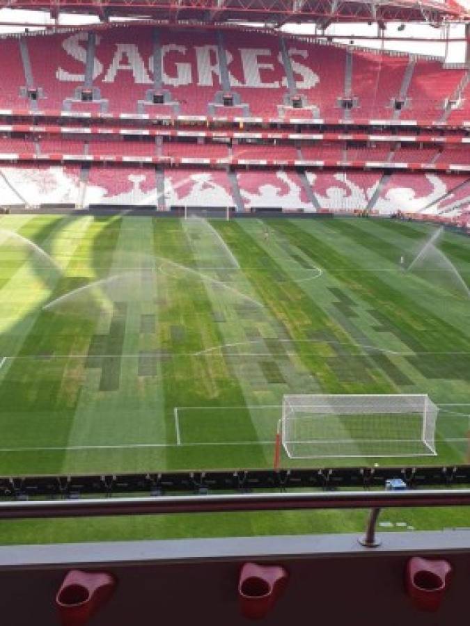 Condiciones deplorables: El pésimo estado del campo del Benfica tras un concierto de Ed Sheeran