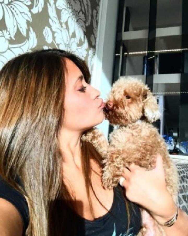 Las 15 mejores fotos publicadas por Antonella Rocuzzo en su Instagram