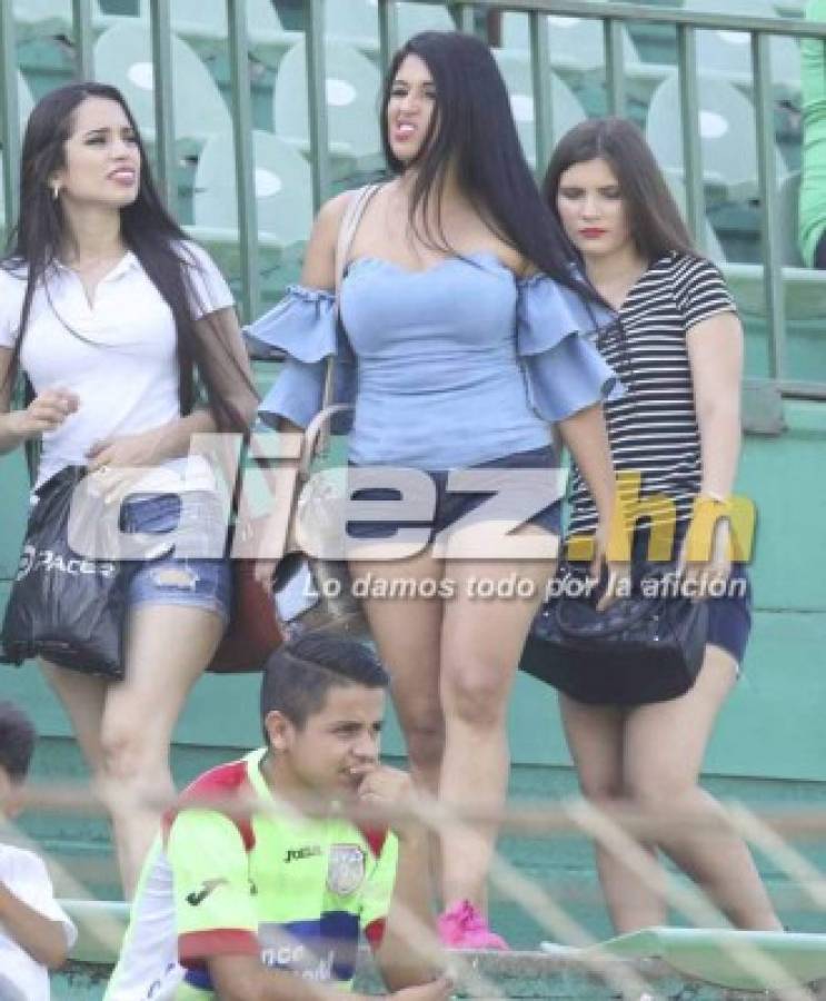¡HERMOSAS! Las bellas damas que engalan en los estadios de Liga Nacional