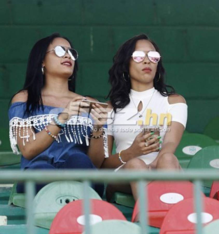 ¡NO VISTE EN TV! La obscena celebración y la belleza femenina en el estadio