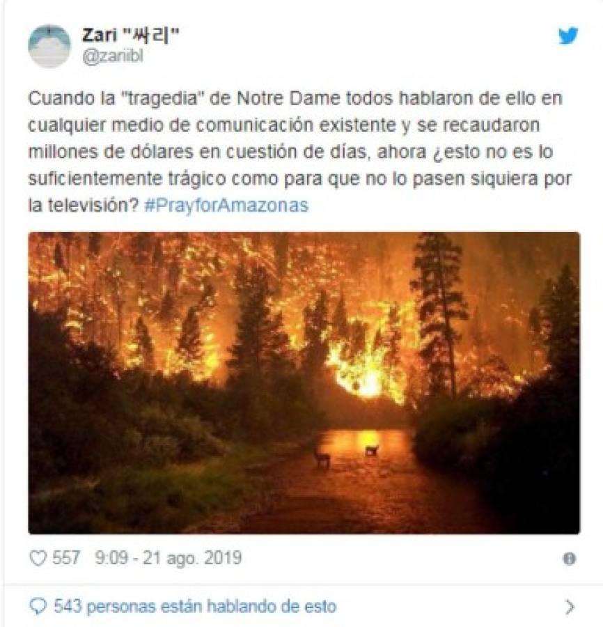 Las fotografías engañosas sobre los incendios que arrasan la Amazonia de Brasil