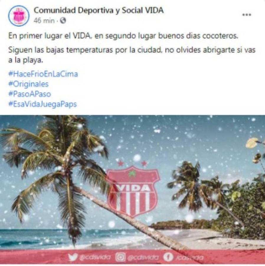 ¡Olimpia no puede ganarle al Vida! Los memes hacieron pedazos al león tras la dolorosa derrota en La Ceiba