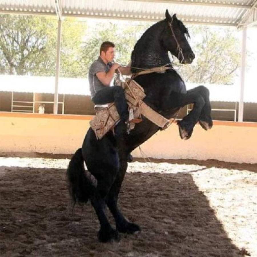 Revelan la impresionante fortuna de Saúl 'Canelo' Álvarez: ¿cuánto dinero tiene el boxeador mexicano?