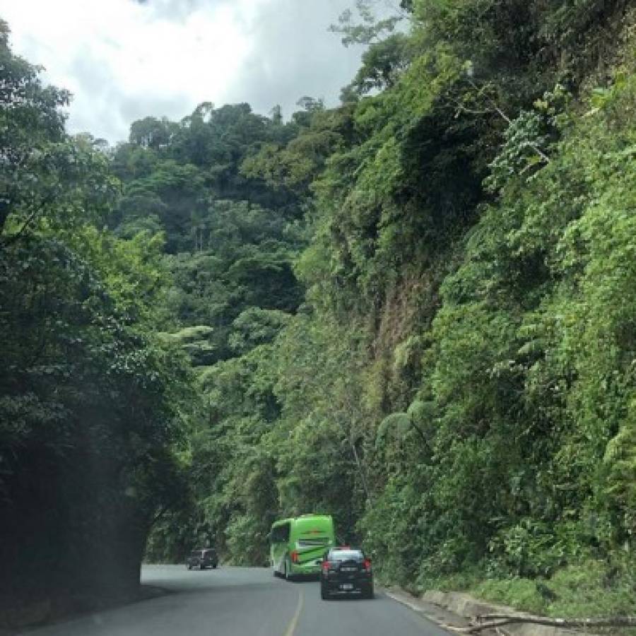 Esto costaron las lujosas 'vacaciones' de Gustavo Matosas en Costa Rica