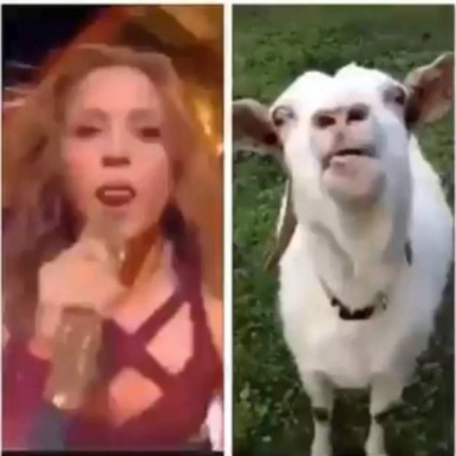 Hacen trizas con burlas a Shakira por sacar la lengua en show del Super Bowl