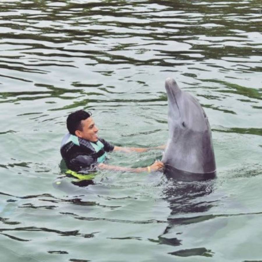 ¡Besos de delfines y buena compañía! Así recargan baterías los jugadores de la Selección de Honduras