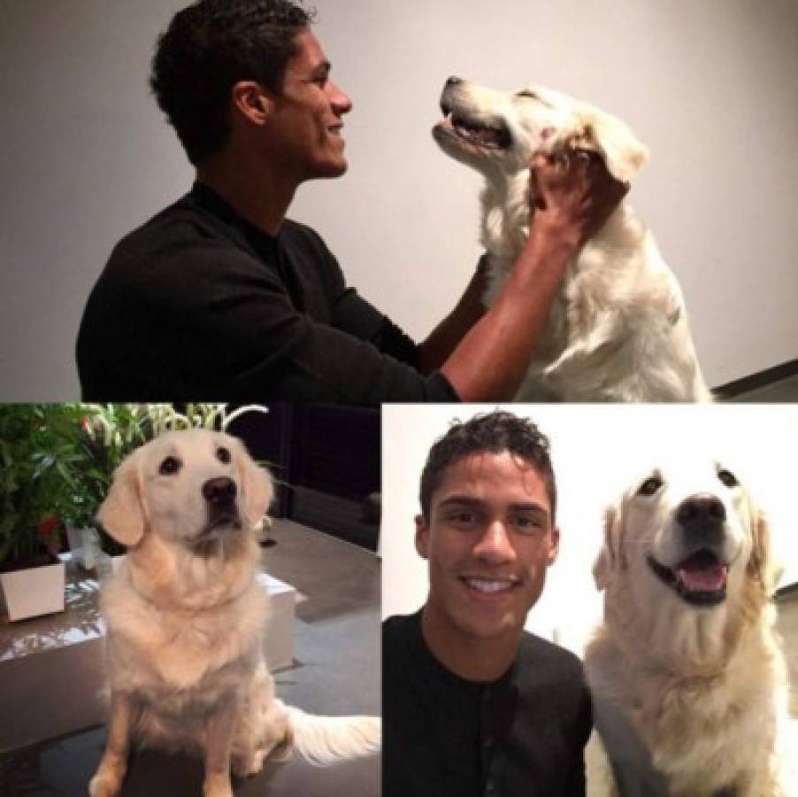 Día Mundial de los Animales: Ellos son el 'mejor amigo' de los grandes futbolistas