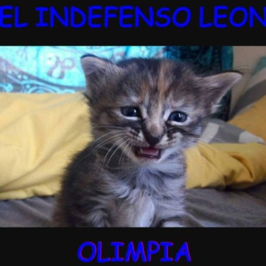 Los mejores memes del triunfo del Real España sobre Olimpia