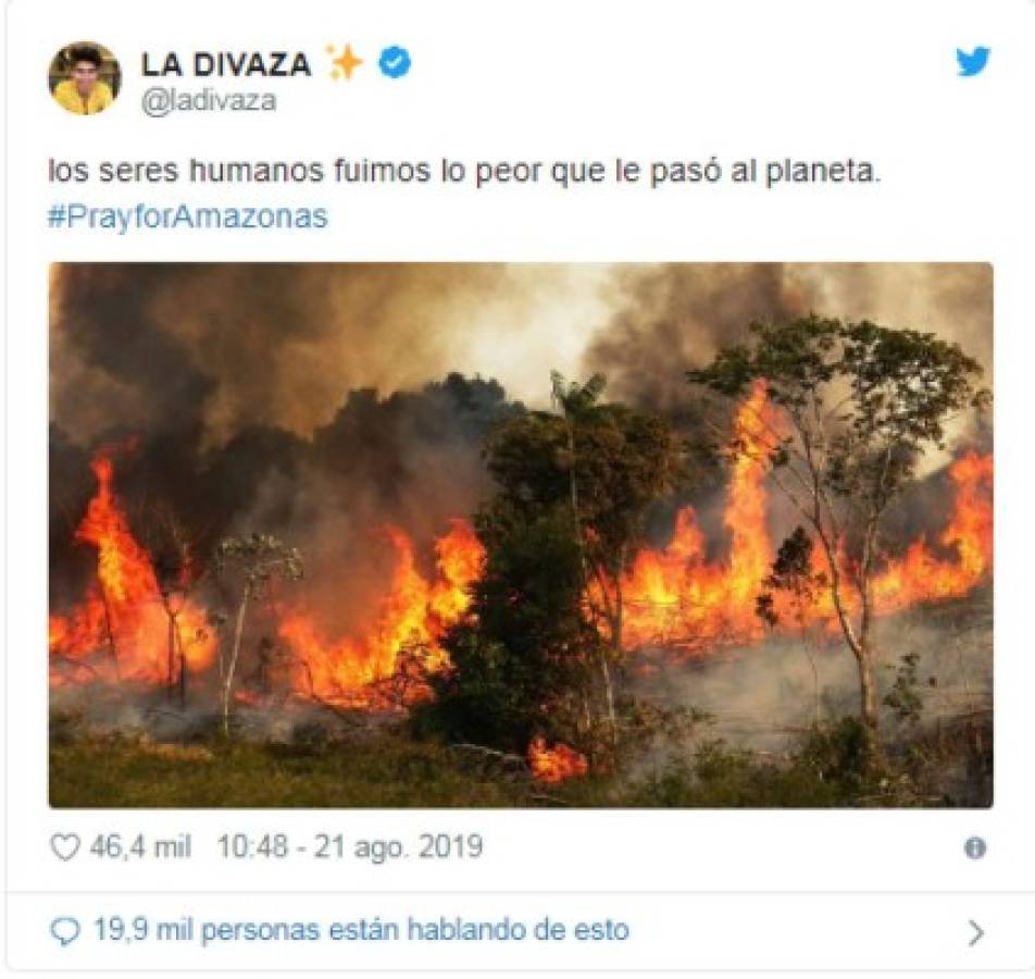 Las fotografías engañosas sobre los incendios que arrasan la Amazonia de Brasil