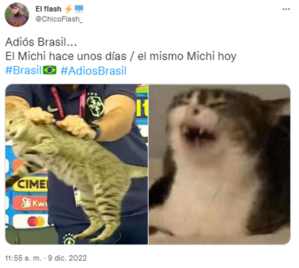 La venganza del michi: memes destrozan a Brasil tras quedar eliminado del Mundial ante Croacia