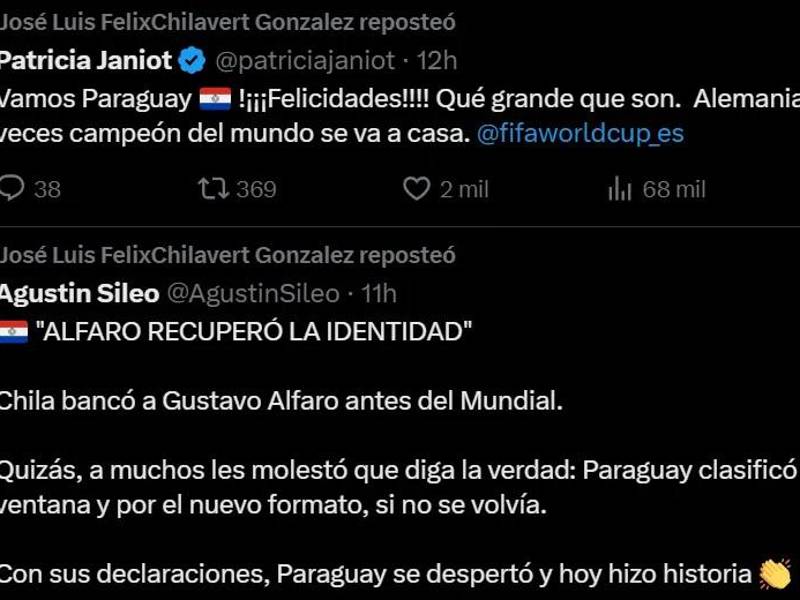 Paraguay echó a Alemania y Chilavert reaccionó sobre lo de Orlando Gill